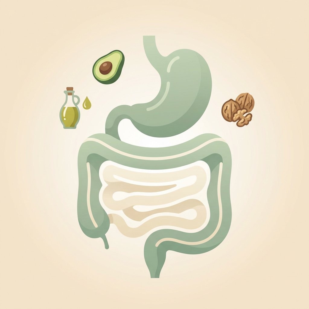 Ketogen diett og sunn tarm – infografikk om fettdiaré